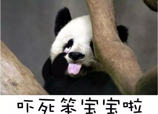ʿTi