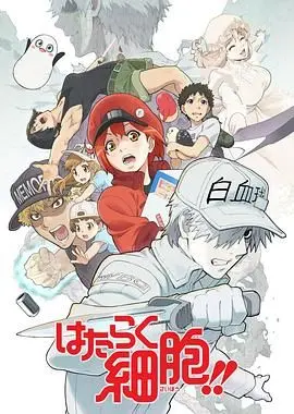 《工作细胞第二季（普通话版）》：免疫系统大揭秘！看完你就知道为啥恐怖片看多了也打不过流感！